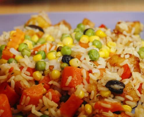 Handball-camp.com _vegetarisch